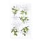 12 Pack: White Floral Stickers by Recollections™